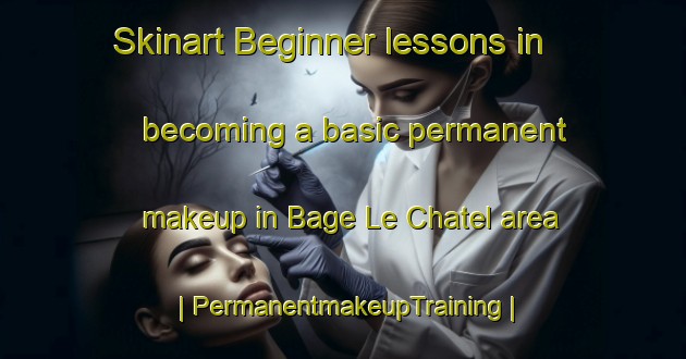 Skinart Beginner lessons in becoming a basic permanent makeup in Bage Le Chatel area | PermanentmakeupTraining | PermanentmakeupClasses | SkinartTraining-France